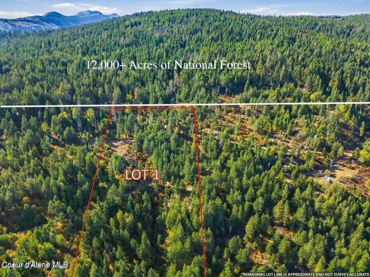 NKA LT 1 Juniper Ln., Naples, ID 83847 - #1