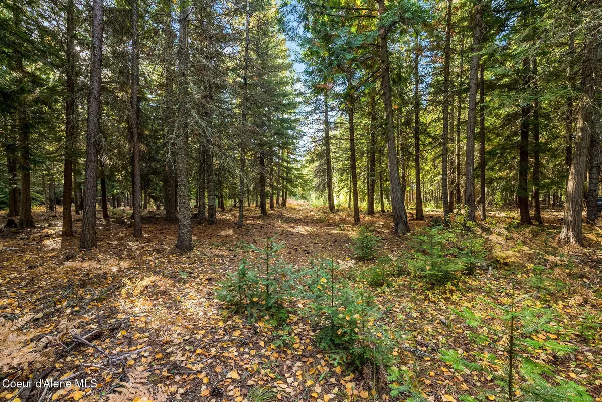 NNA Morris Road, Naples, ID 83847 - #1