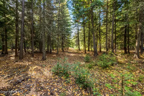NNA Morris Road, Naples, ID 83847