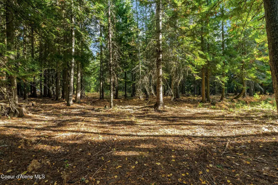NNA Morris Road, Naples, ID 83847 - #2