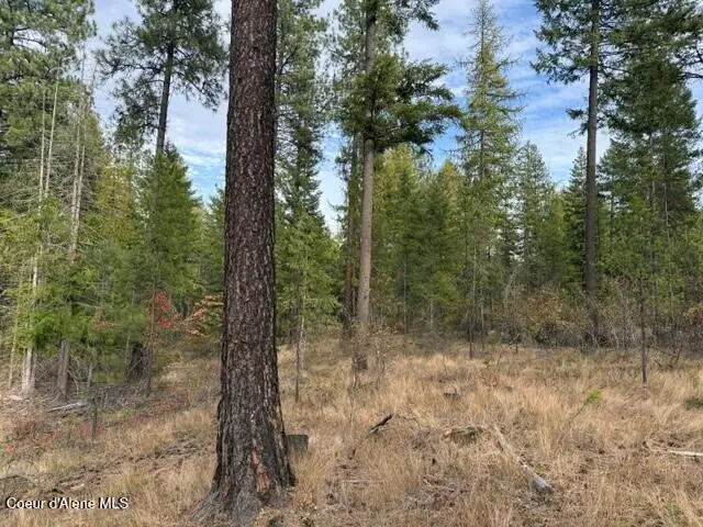 NNA Jachetta Rd, Priest River, ID 83856 - #1