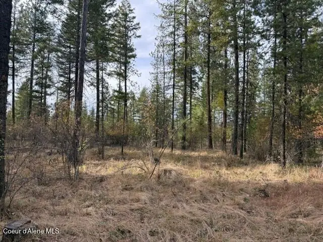 NNA Jachetta Rd, Priest River, ID 83856 - #2