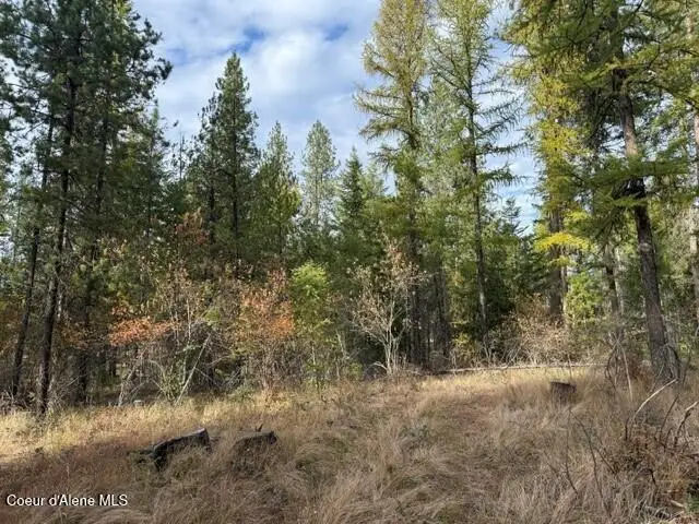 NNA Jachetta Rd, Priest River, ID 83856 - #3