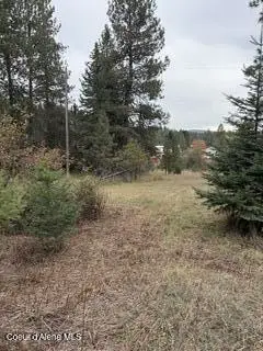 NNA S LAST CHANCE RD, Coeur Dalene, ID 83814 - #2