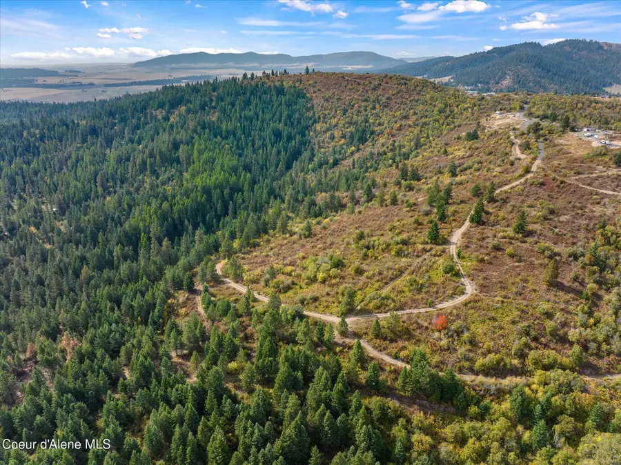 NNA Treetop Ln Lot 4, Plummer, ID 83851 - #3