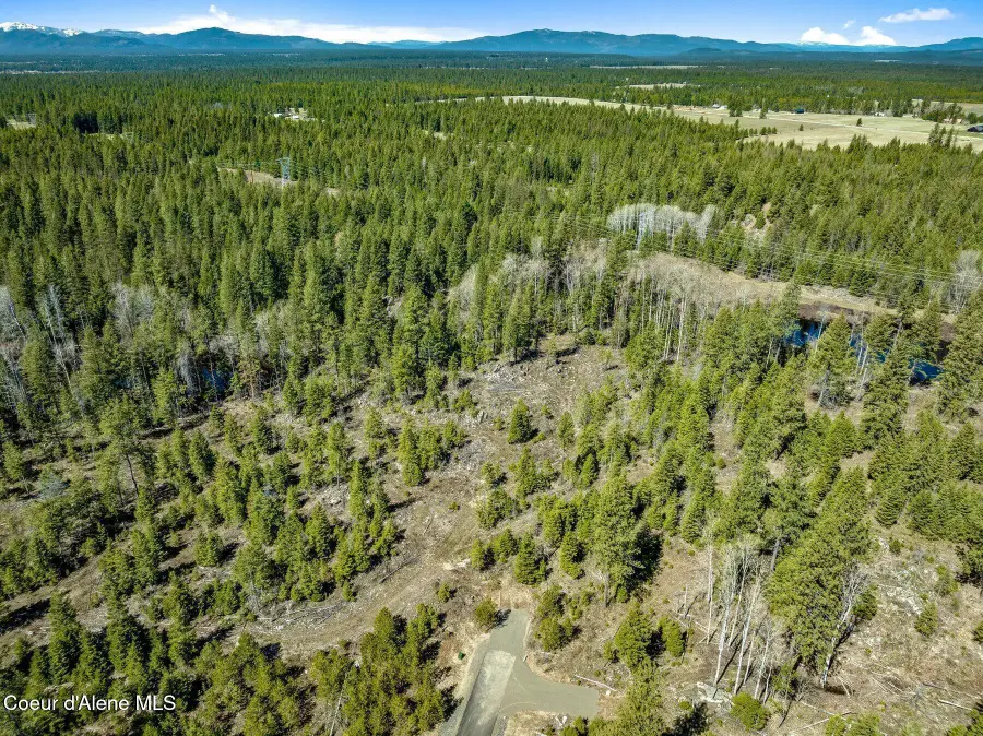 NKA Dickens Rd (Lot 8), Athol, ID 83801 - Image #2