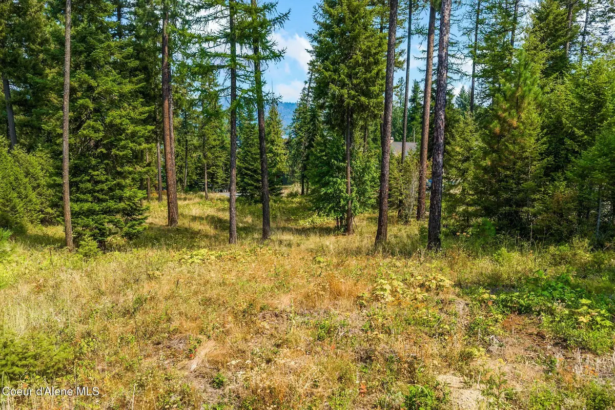 Lot 12 Deeter Dr, Priest River, ID 83856 - #1