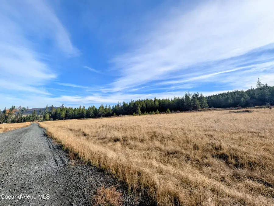 2879 Tyson Creek RD, Santa, ID 83866 - #2