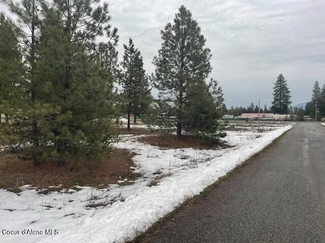 29269 N OLD HIGHWAY 95, Athol, ID 83801 - Image #1