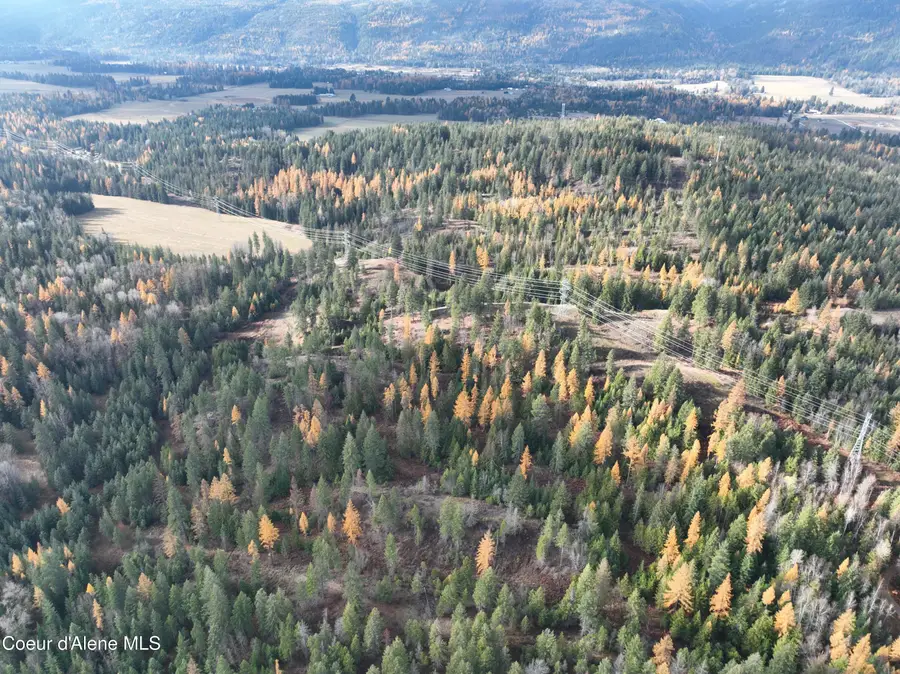 NKA Snowberry Lane, Sandpoint, ID 83864 - Image #2