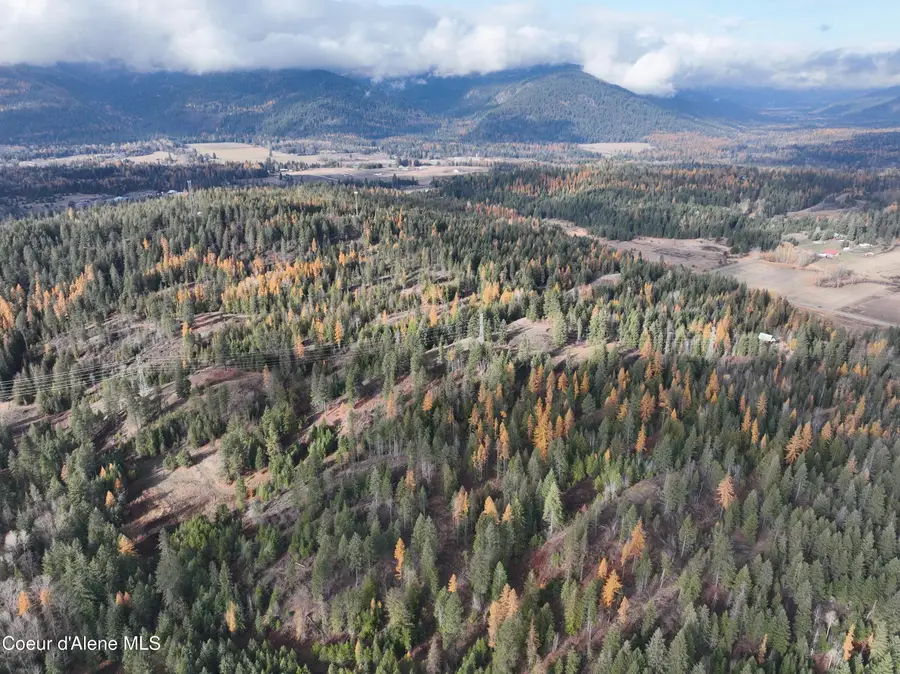 NKA Snowberry Lane, Sandpoint, ID 83864 - Image #3