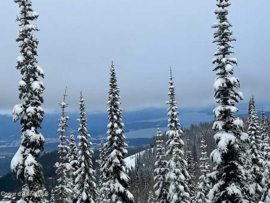 L3 B2 Tall Timber, Sandpoint, ID 83864 - #3