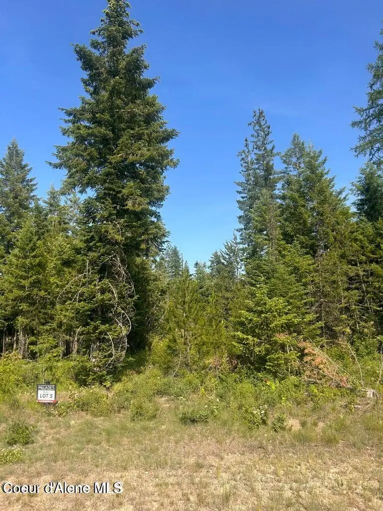 NKA Lekstrum, Rathdrum, ID 83858 - #3