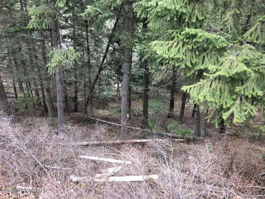 3423 E SKY HARBOR DR, Coeur Dalene, ID 83814 - #3