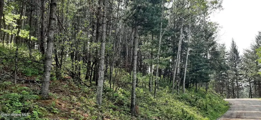 2 Parcels Alhambra Rd, Kellogg, ID 83837 - #2