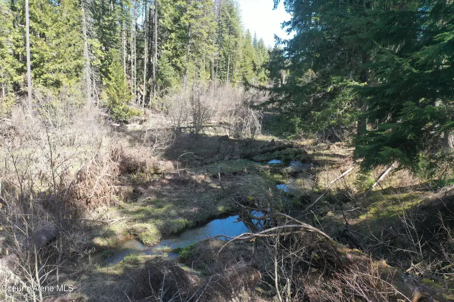 NKA Sanders Rd, Saint Maries, ID 83861 - #2