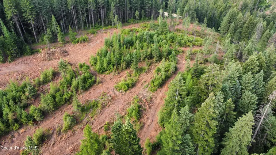 NKA Trinity lane, Saint Maries, ID 83861 - #2