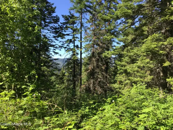 FLY CATCHER LTS 13 & 14, St. Maries, ID 83861