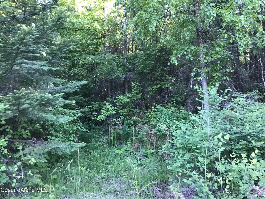 FLY CATCHER LTS 13 & 14, Saint Maries, ID 83861 - #2