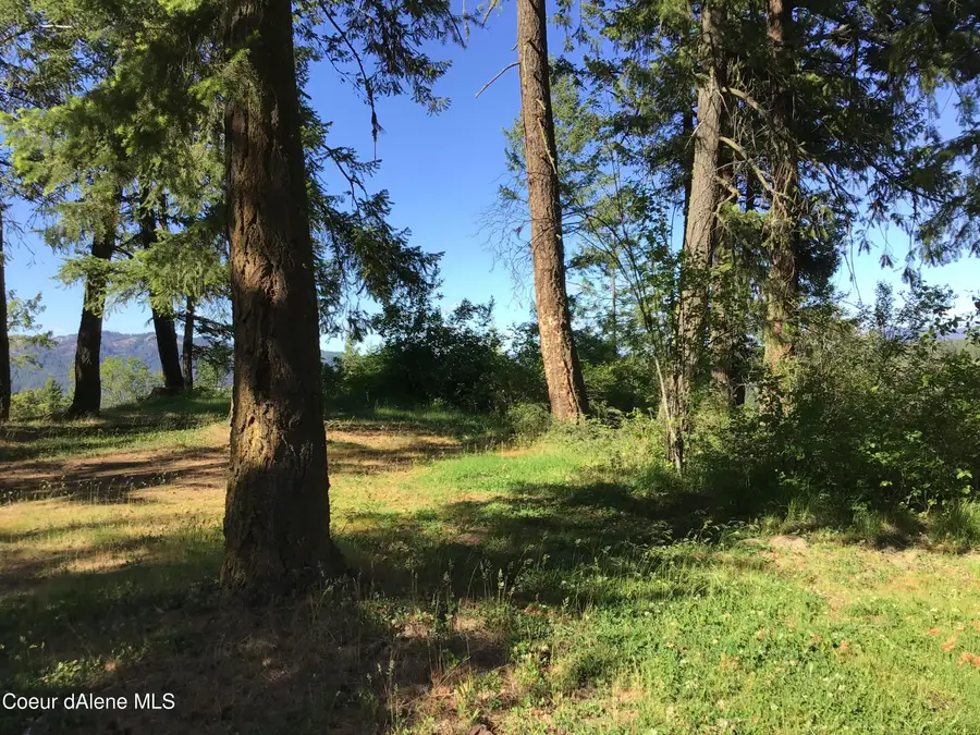 RUFUS TRAIL LTS 4, Saint Maries, ID 83861 - #2