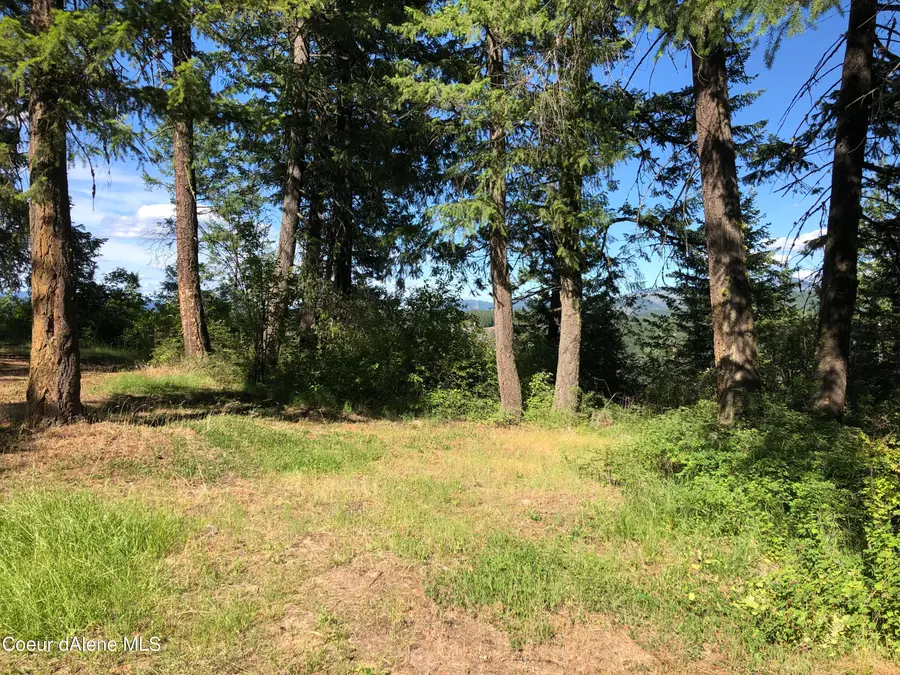 RUFUS TRAIL LTS 4, Saint Maries, ID 83861 - #3