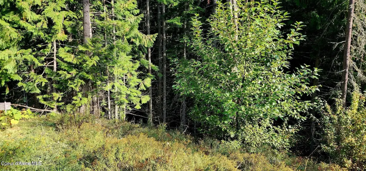 0 Alder Way, Saint Maries, ID 83861 - #1