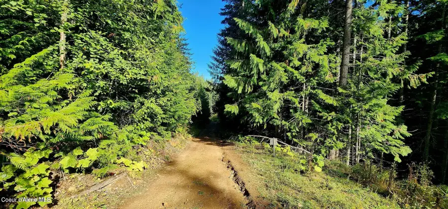 0 Alder Way, Saint Maries, ID 83861 - #2