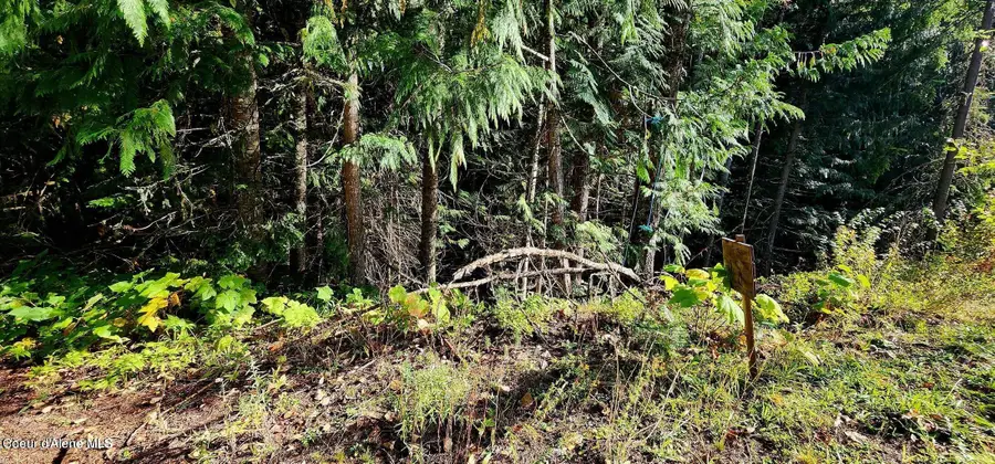 0 Alder Way, Saint Maries, ID 83861 - #3