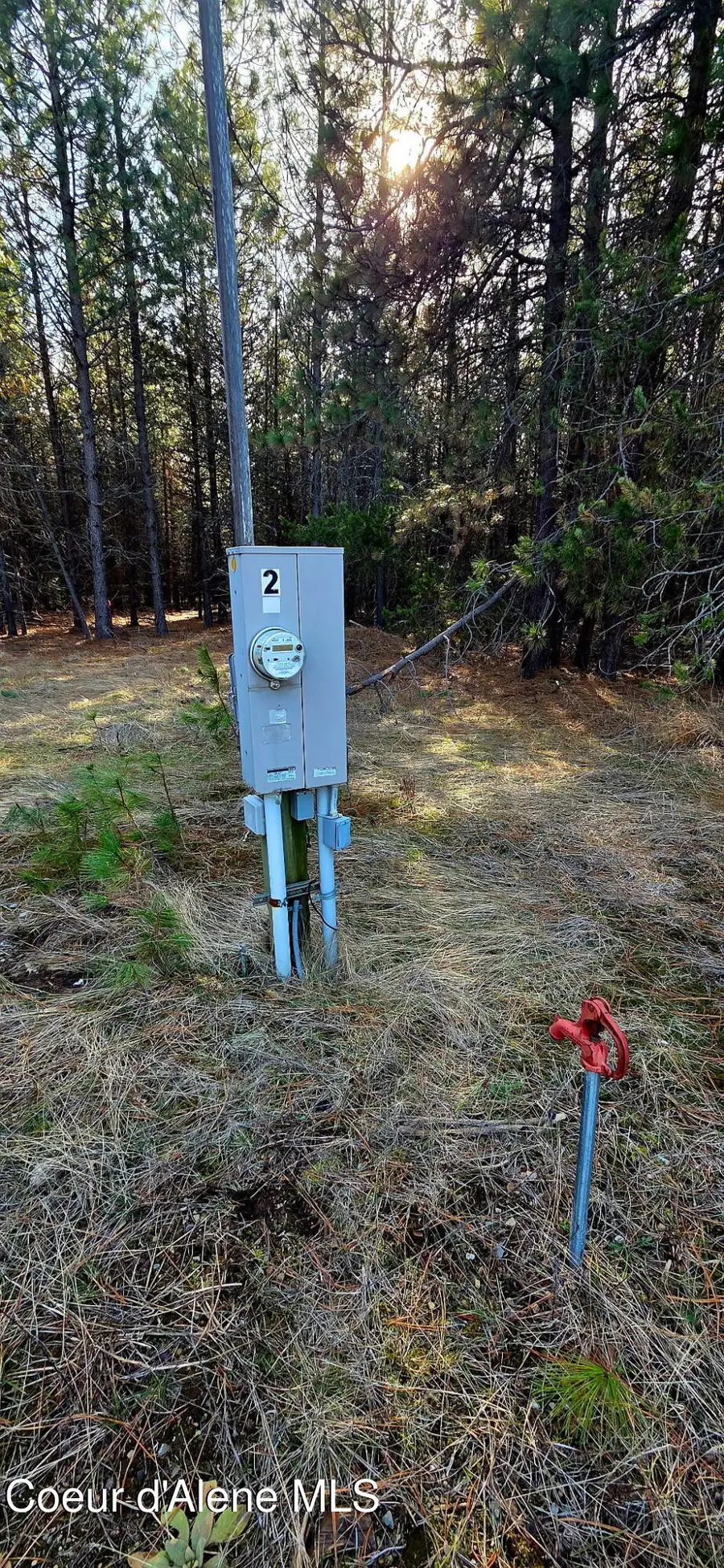 5960 E Menser AVE, Athol, ID 83801 - #3