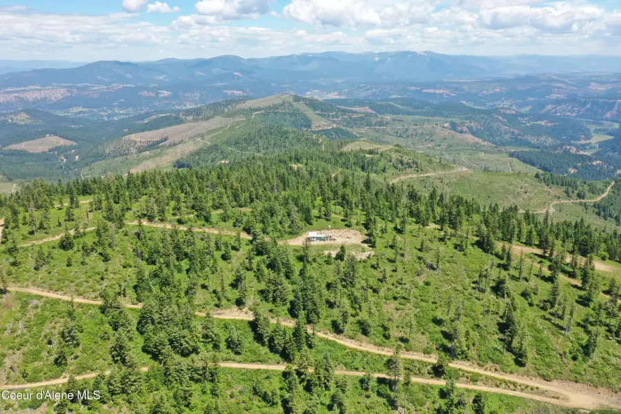 1662 Wildflower DR, Saint Maries, ID 83861 - #3