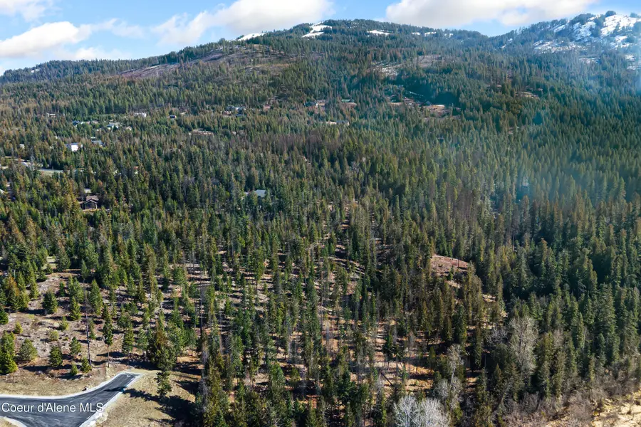 NNA Clark Trail, Sagle, ID 83860 - #3