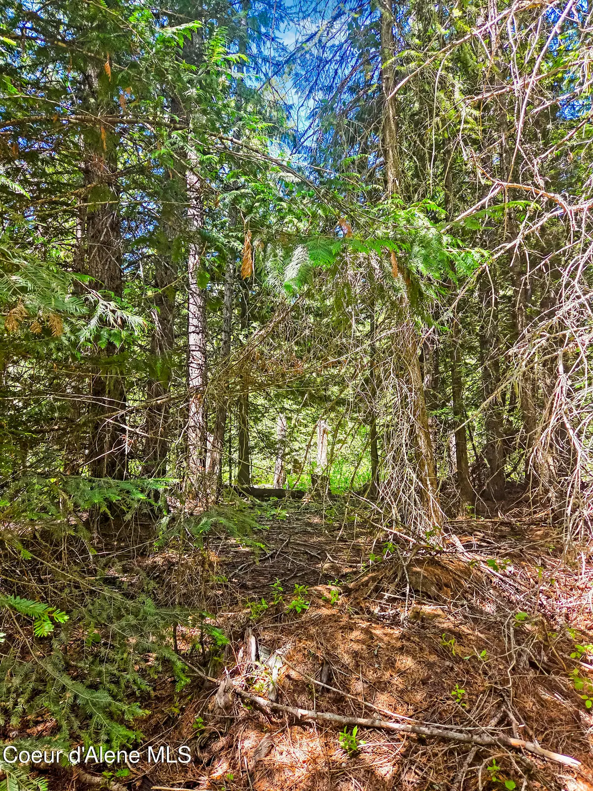 NNA Tanglewood Dr, Priest River, ID 83856 - #1