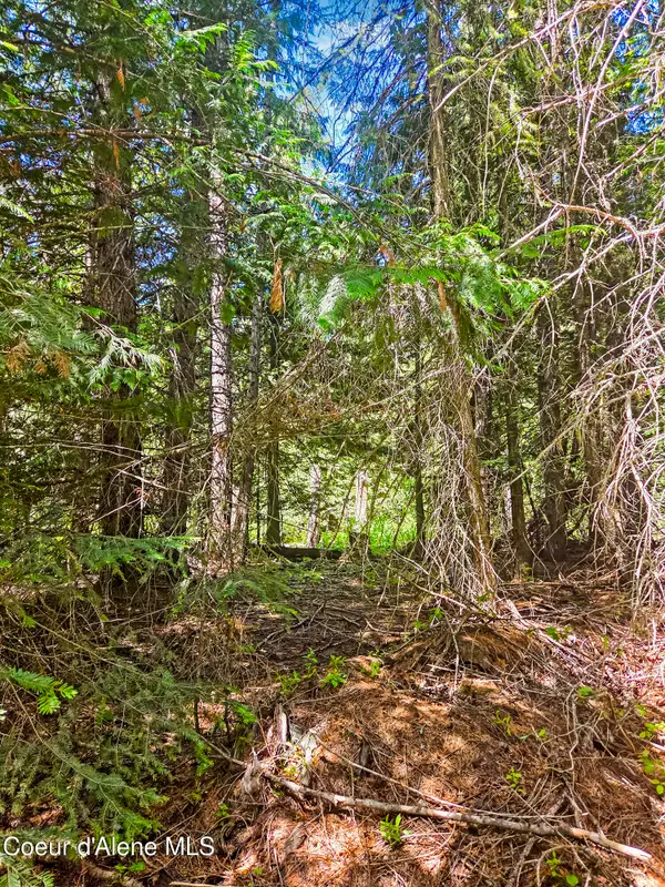 NNA Tanglewood Dr, Priest River, ID 83856