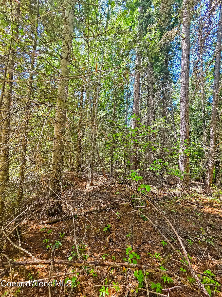 NNA Tanglewood Dr, Priest River, ID 83856 - #2