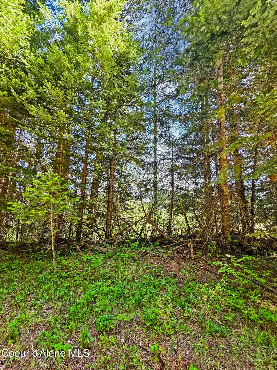 NNA Tanglewood Dr, Priest River, ID 83856 - #3