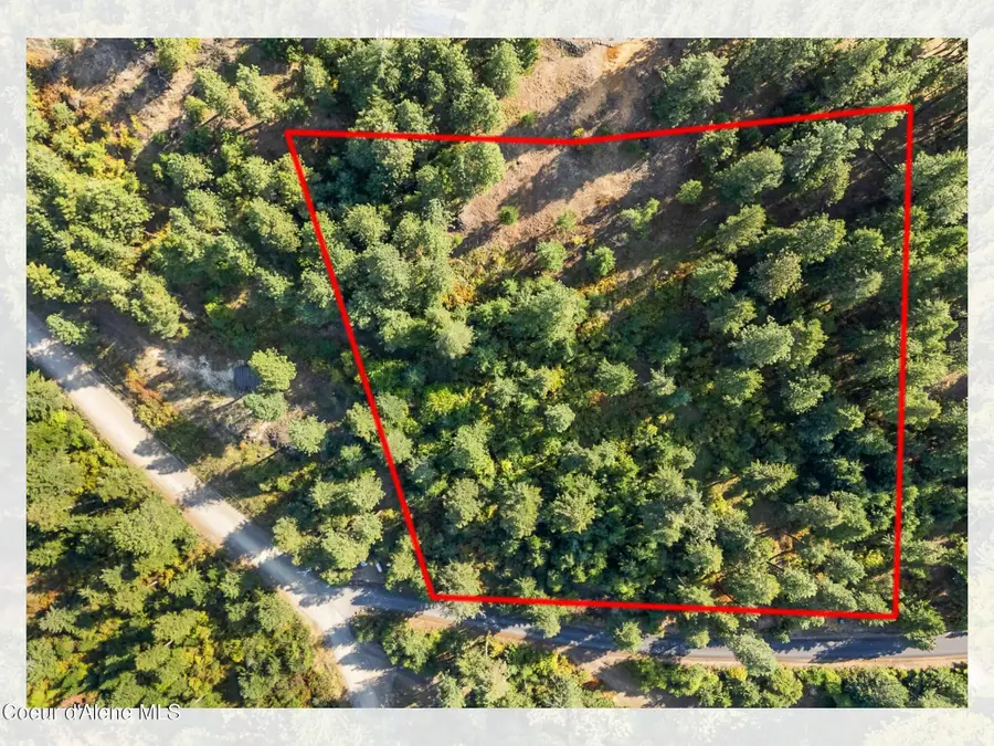 LT1 BLK1 S Hanson Rd, Harrison, ID 83833 - #3