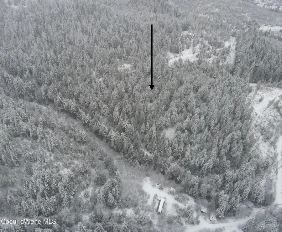 393 E Ridge Rd, Saint Maries, ID 83861 - Image #2