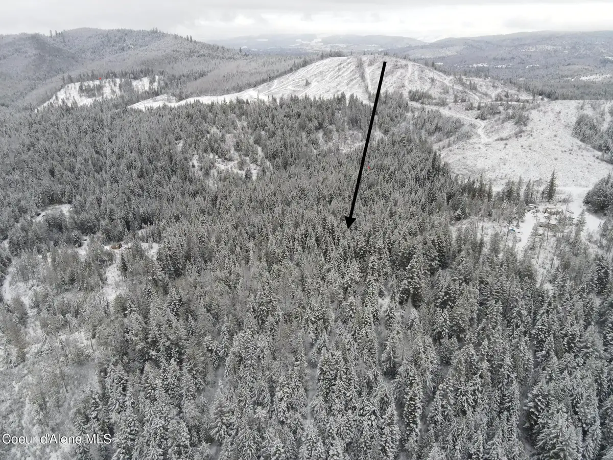 343 E Ridge Rd, Saint Maries, ID 83861 - Image #1