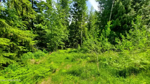 NKA Baum Rd., St. Maries, ID 83861