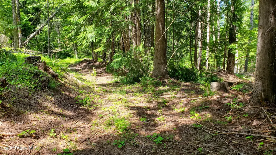 NKA Baum Rd., Saint Maries, ID 83861 - #2