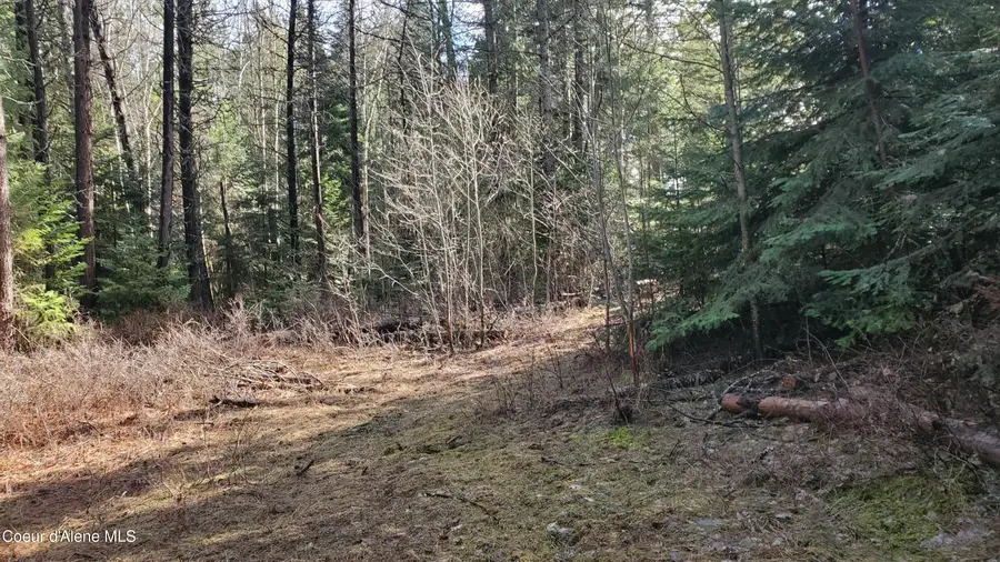 NKA Collins Road, Athol, ID 83801 - #3