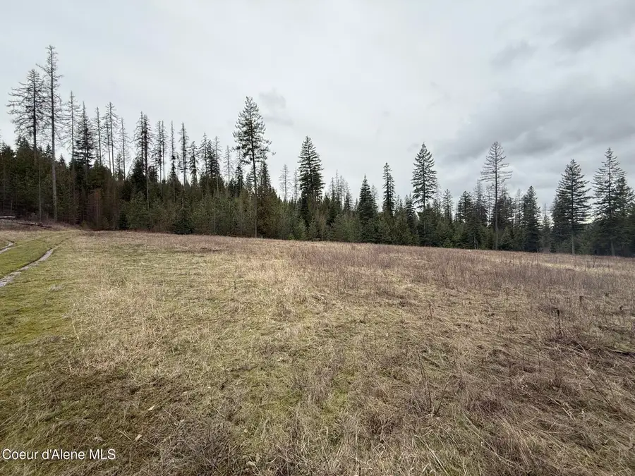 NKA Hells Gulch Rd, Saint Maries, ID 83861 - #3