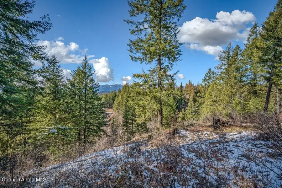 NNA S Idaho Club DR C6, Sandpoint, ID 83864 - #3