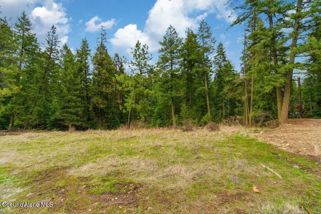 S Bastrup Ln, Coeur D Alene, ID 83814 - #1