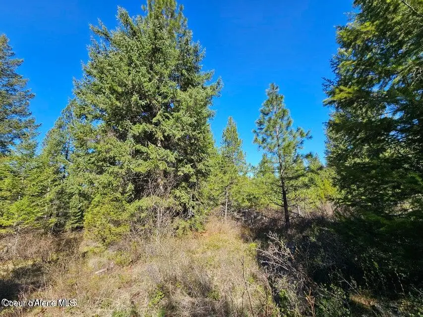 NNA N Sunset Hill Rd, Athol, ID 83801 - #3