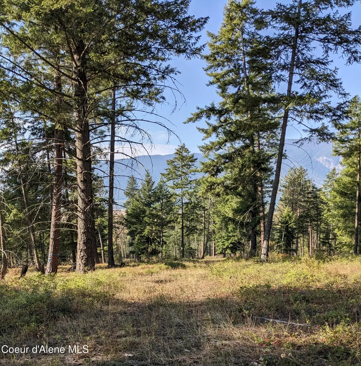 NNA 10 ac. New Chisholm Way, Bonners Ferry, ID 83805 - #1