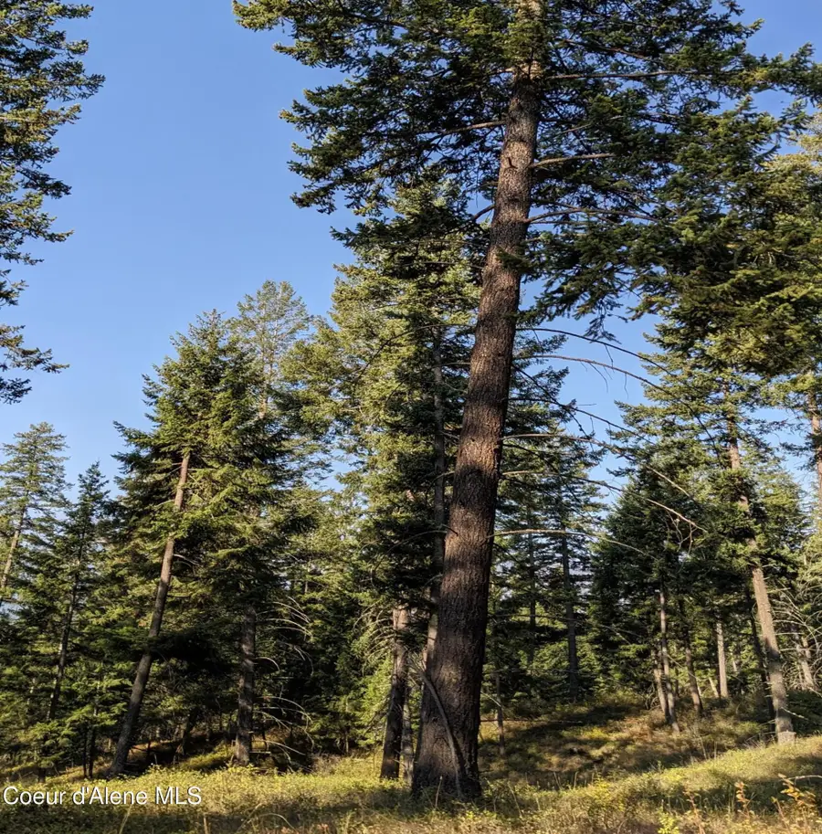 NNA 10 ac. New Chisholm Way, Bonners Ferry, ID 83805 - #2