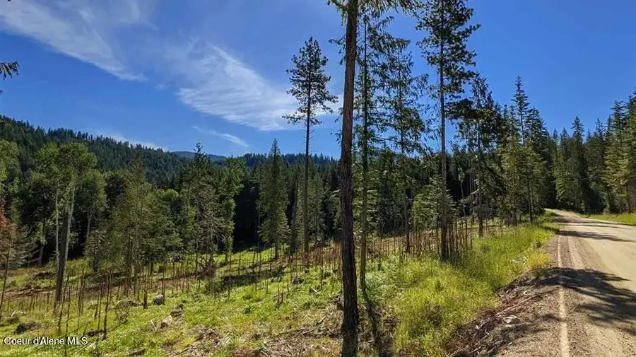 8360 Sunnyside Rd, Sandpoint, ID 83864 - #2