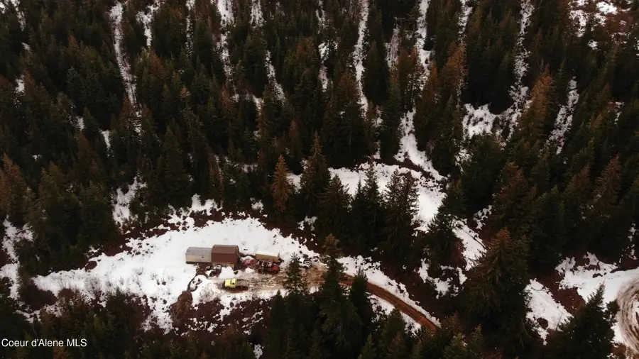 193 Wildflower Rd, Saint Maries, ID 83861 - #2