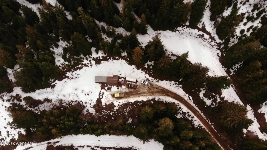 193 Wildflower Rd, Saint Maries, ID 83861 - #3